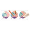 Djeco Crafts - Felt Tips Art "Under The Sea" - Image 3