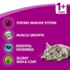 Whiskas Dry Cat Food for Adult Cats with Gourmet Meat Platter - 2.0 kg - Image 2