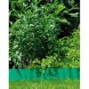 GARDENA Lawn Edging, Green 9 metre Roll 15 cm High - Image 2