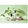 Cocod'or - Room Spray / Home Fragrance - 500ml - Peach Tree - Image 6