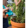 GARDENA CityGardening Balcony Secateurs - Image 2