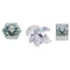 Bakugan - Evolutions Deka - Colossus - Image 2