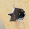 Bosch - Flat drill bit Self-Cut - 12 x 400 mm - Image 2
