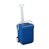 Weelie School Bag with Dividers - Blue/ Red - Image 9