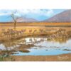 1000 Piece Wildlif Adult Puzzle - Big Five - Image 6