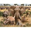 1000 Piece Wildlif Adult Puzzle - Big Five - Image 9