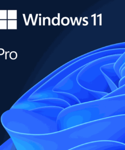 Microsoft - Windows 11 Pro - Single User