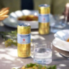 S.Pellegrino Essenza Lemon & Lemon Zest 24x330ml - Image 2