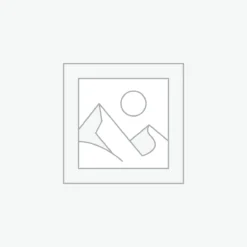 Uncategorised