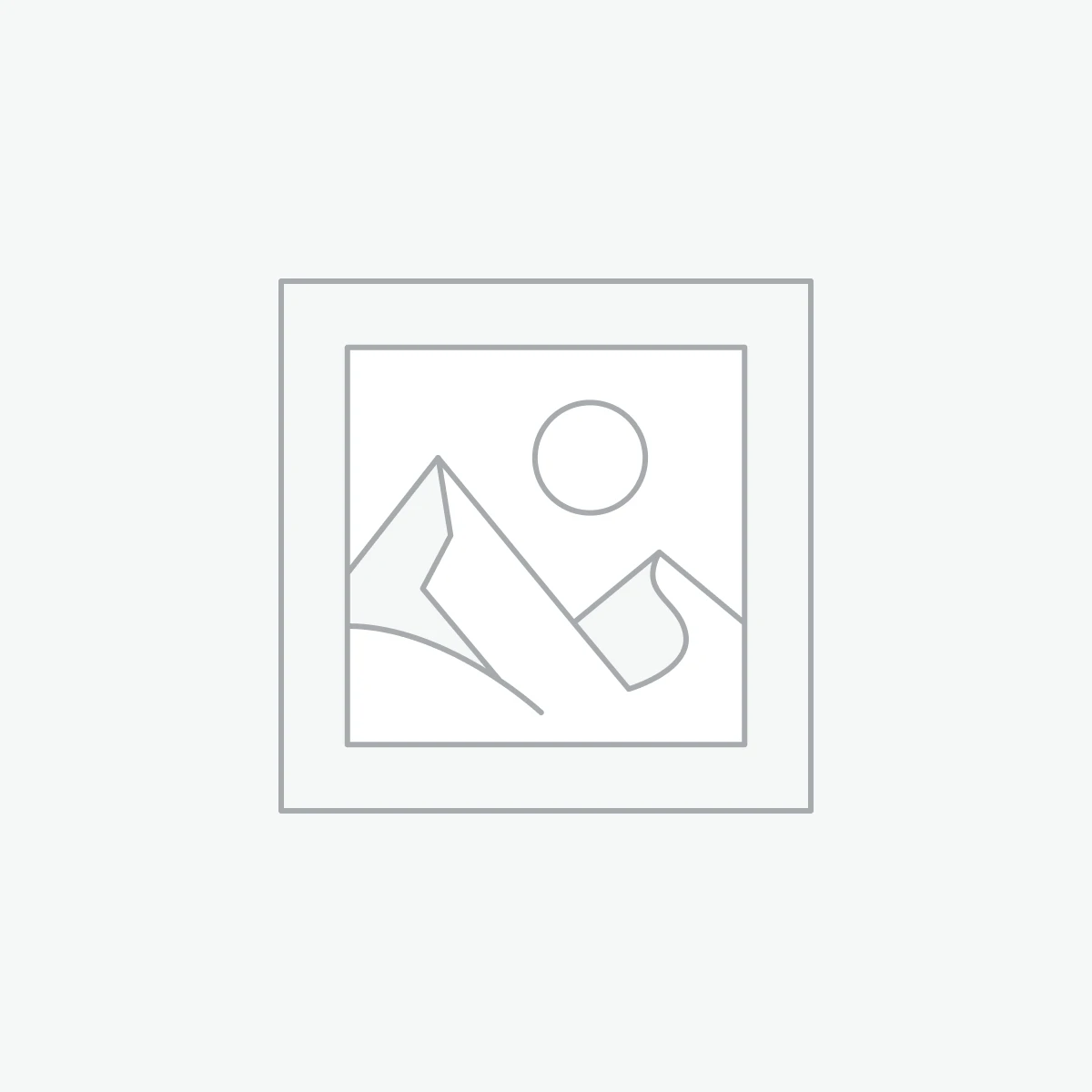 MTS Paintbrush Pitch 225mm Roller